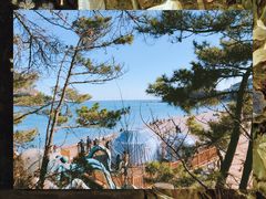 -棒棰岛宾馆景区