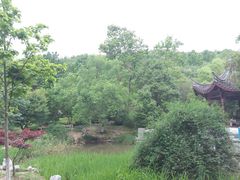 景点-峙山公园