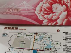-东平国家森林公园