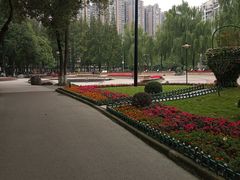 -温江公园