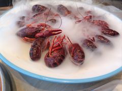 -杨氏青龙虾·羊蝎子(珠江路店)