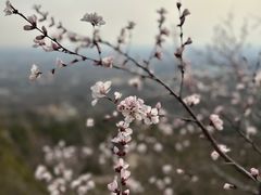 -北京凤凰岭