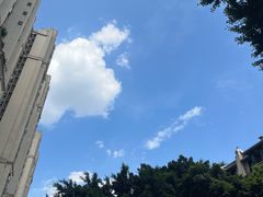 -成都市活水公园
