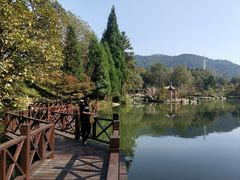 -四明山国家森林公园