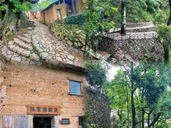 -杨家堂村