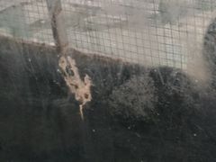 -泉州海丝野生动物世界