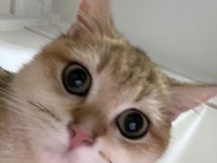 -瑞派康怡24h宠物医院·犬猫医疗中心·微创绝育(瑞景分院)