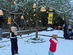 -宁波五龙潭景区