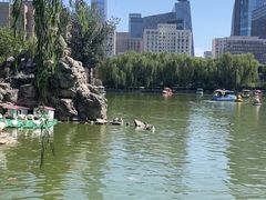 -团结湖公园