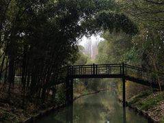 -同里国家湿地公园