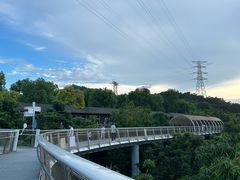 -仙岳公园