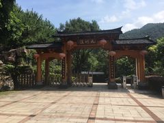 -天台国家森林公园水上茶乡九鹏溪