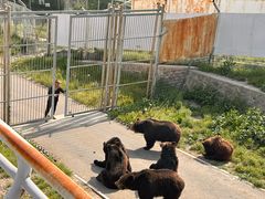 -大青山野生动物园
