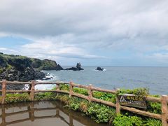 -涉地可支