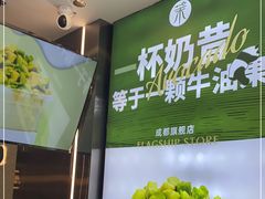 -茉酸奶(春熙路店)