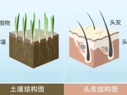 -LJOY丽锦造型·烫发染发