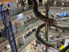 -巴黎春天(浦建店)
