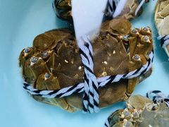 -乡乐园蟹庄·阳澄湖农家乐