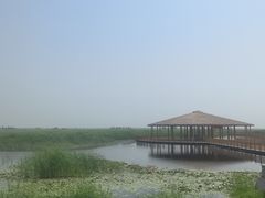 -白洋淀风景区