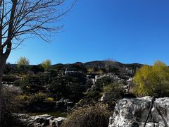 -北京西山国家森林公园