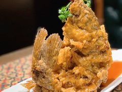 糖醋鲤鱼-城南往事·鲁菜济南菜(软件园美莲广场店)