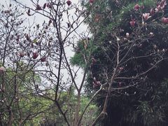 -晓港公园