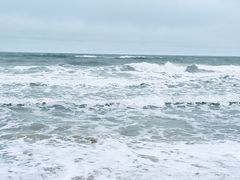 -日照海滨国家森林公园