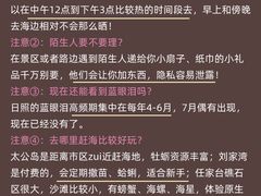 -日照海滨国家森林公园