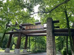 -杭州植物园