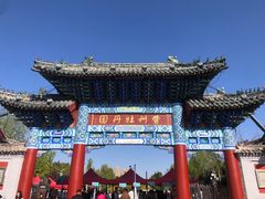 -曹州牡丹园