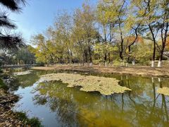 -长白岛森林公园