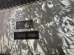 -日出青木·杭帮菜名店