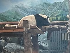 -武汉动物园