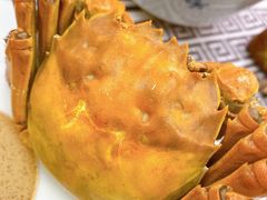 -新李记 · 口味菜馆(南郊公园店)