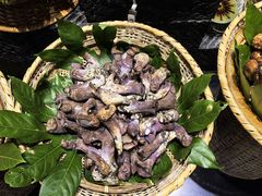 -黔蘑菇四季餐厅(观山湖店)