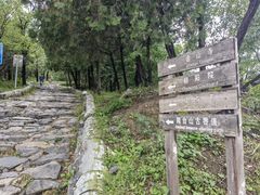 -阳台山自然风景区