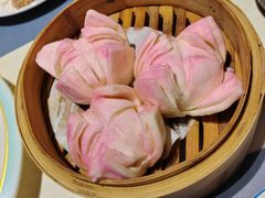 -点都德·毕德寮