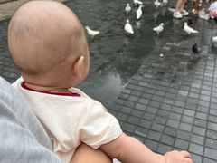 -成都南湖公园