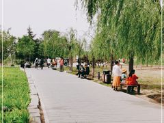 -永定河休闲森林公园