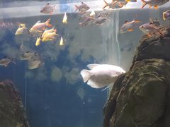 -常州海昌海洋探索馆