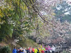 -宝岩生态观光园