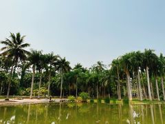 -中国科学院西双版纳热带植物园