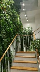 -悦诗风吟innisfree