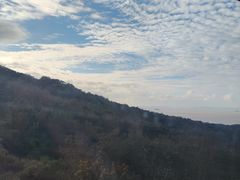 -普陀山风景区-佛顶山