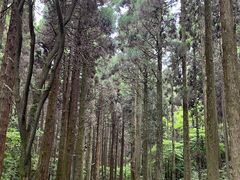 -上色见熊野座神社
