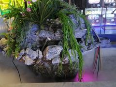 -星河湾温泉洗浴酒店