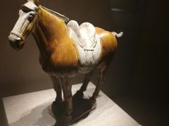 -宁夏博物馆