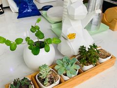-稀物集咖啡(徽州大道店)