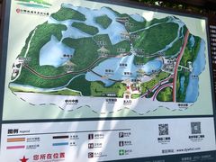 -大亚湾红树林城市湿地公园