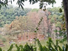 -深圳仙湖植物园